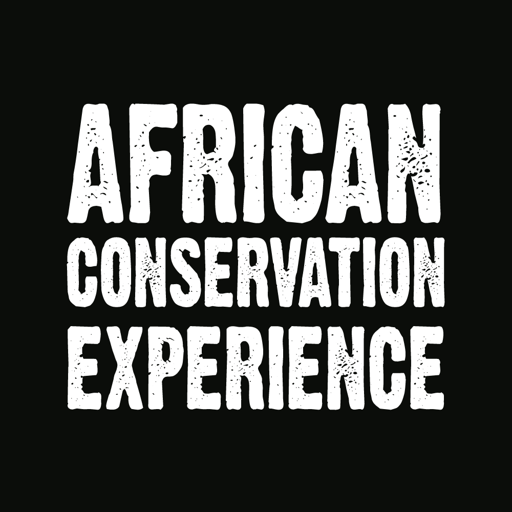 Logo for African Conservation Experience